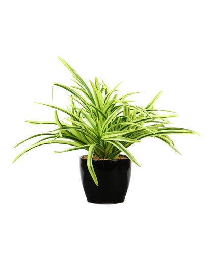 Dracaena Artificial Bonsai Plant with Ceramic Pot | 11 inches