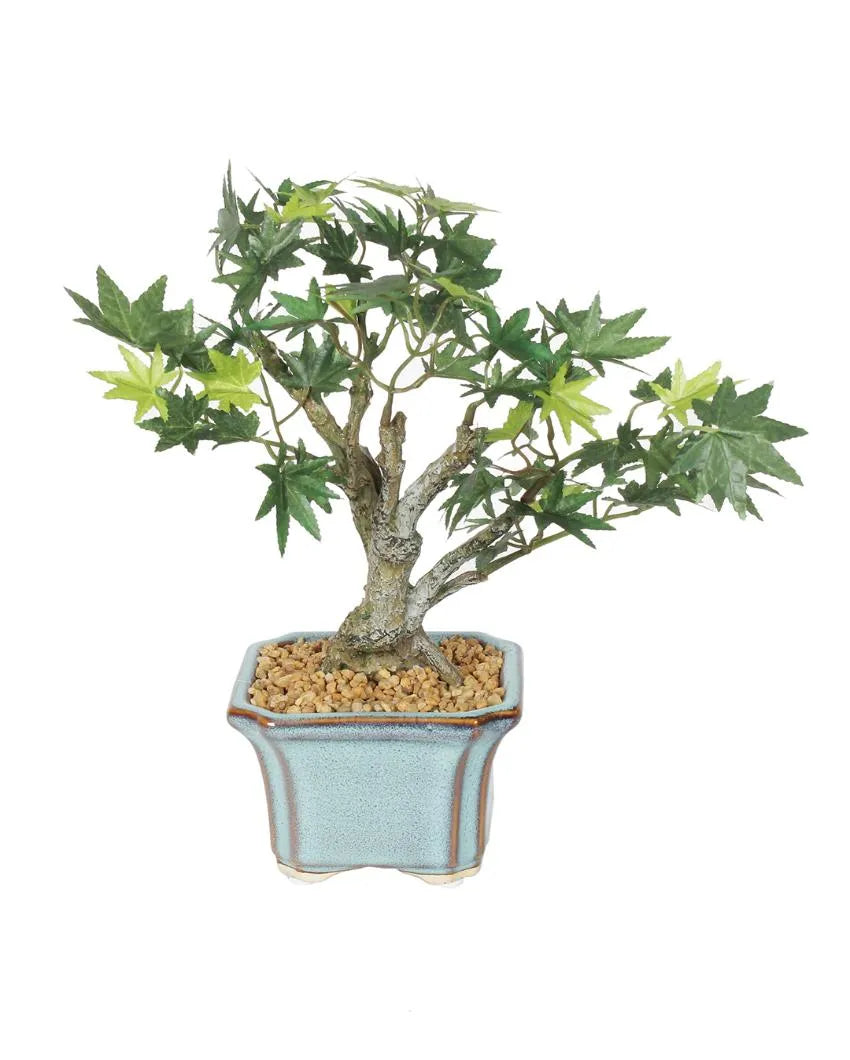 Japanese Maple Artificial Bonsai Plant with Ceramic Pot | 11 inches