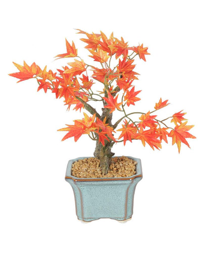 Japanese Maple Artificial Bonsai Plant with Ceramic Pot | 11 inches