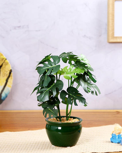 Philodendron Artificial Bonsai Plant with Ceramic Pot | 11 inches