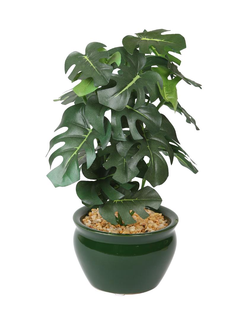 Philodendron Artificial Bonsai Plant with Ceramic Pot | 11 inches