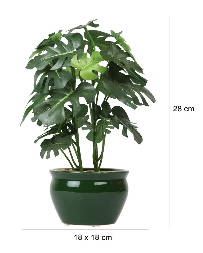 Philodendron Artificial Bonsai Plant with Ceramic Pot | 11 inches