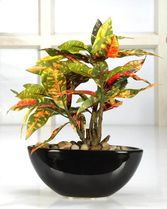 Red Codiacum Artificial Bonsai Plant with Ceramic Pot | 11 inches