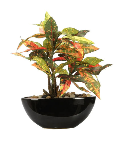 Red Codiacum Artificial Bonsai Plant with Ceramic Pot | 11 inches