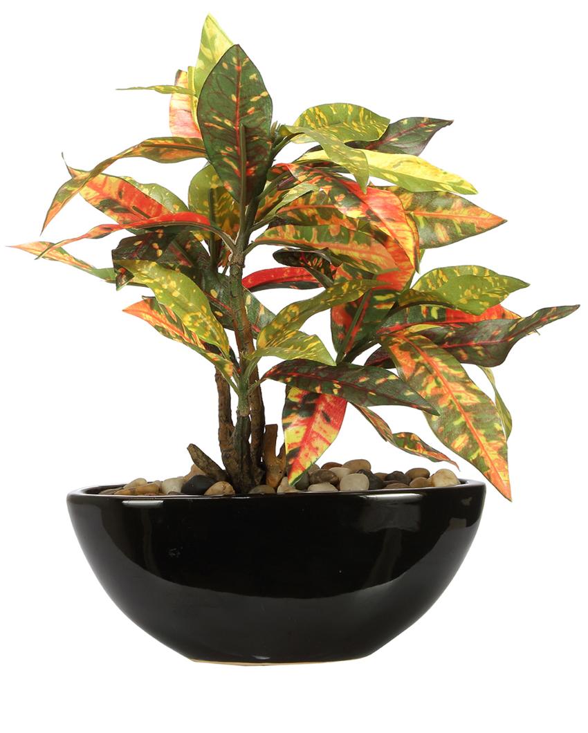 Red Codiacum Artificial Bonsai Plant with Ceramic Pot | 11 inches