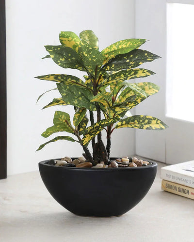 Croton Artificial Bonsai Plant with Ceramic Pot | 11 inches