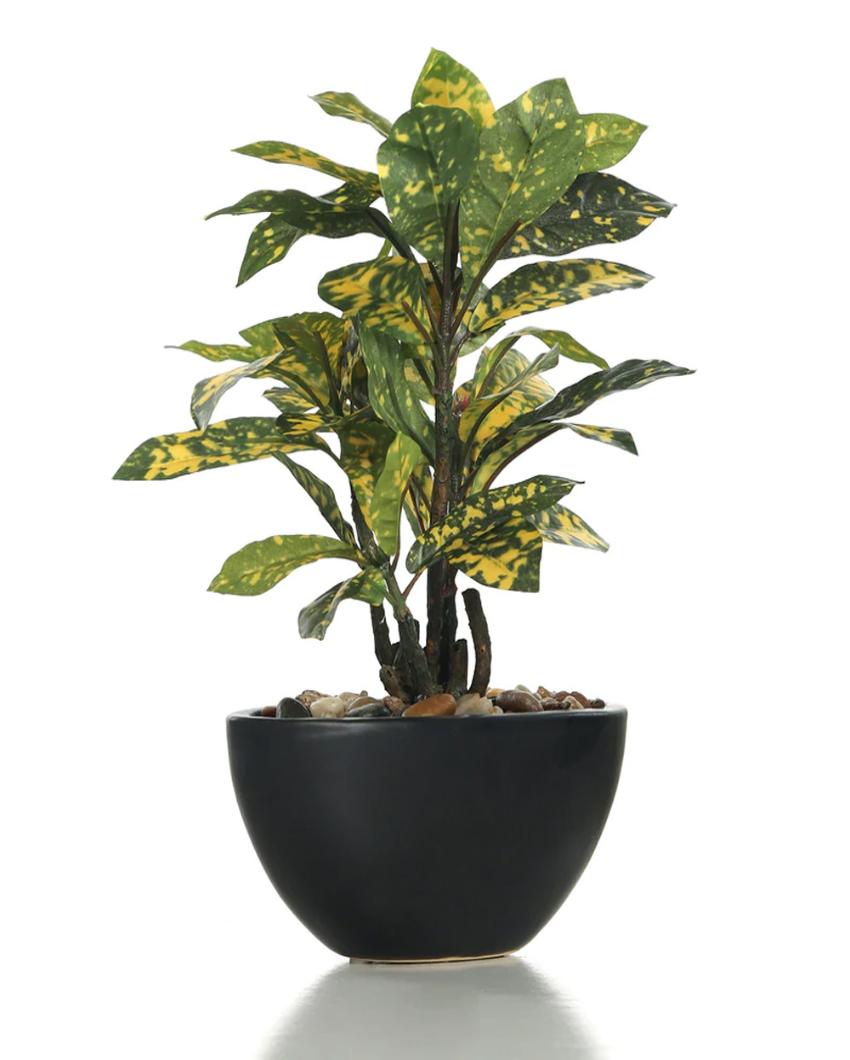 Croton Artificial Bonsai Plant with Ceramic Pot | 11 inches