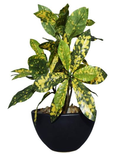 Croton Artificial Bonsai Plant with Ceramic Pot | 11 inches