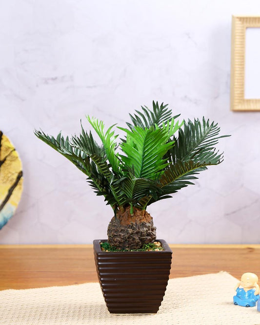 Cycas Artificial Bonsai Plant with Ceramic Pot | 13 inches