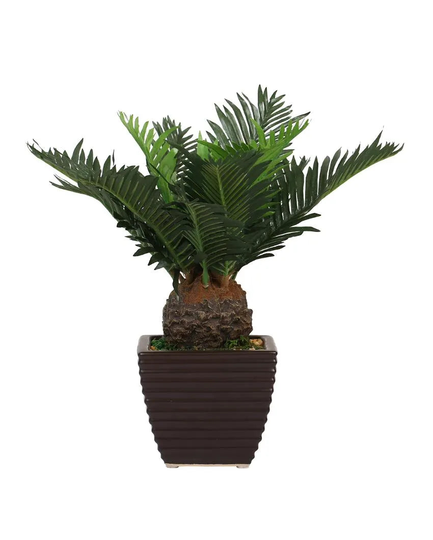 Cycas Artificial Bonsai Plant with Ceramic Pot | 1 feet