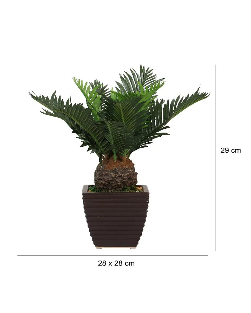 Cycas Artificial Bonsai Plant with Ceramic Pot | 13 inches