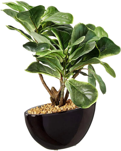 Fiddle Leaf Artificial Bonsai Plant with Ceramic Pot | 11 inches