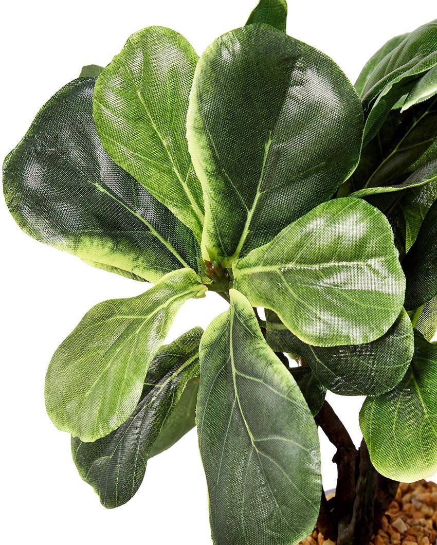 Fiddle Leaf Artificial Bonsai Plant with Plastic Pot | 1.25 feet