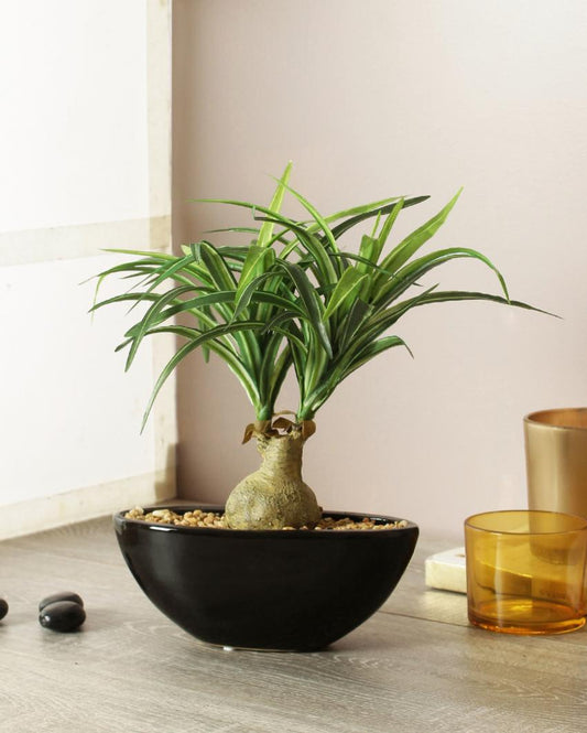 Nolina Artificial Bonsai Plant with Ceramic Pot | 11 inches