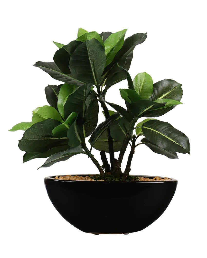 Quercus Artificial Bonsai Plant with Ceramic Pot | 11 inches