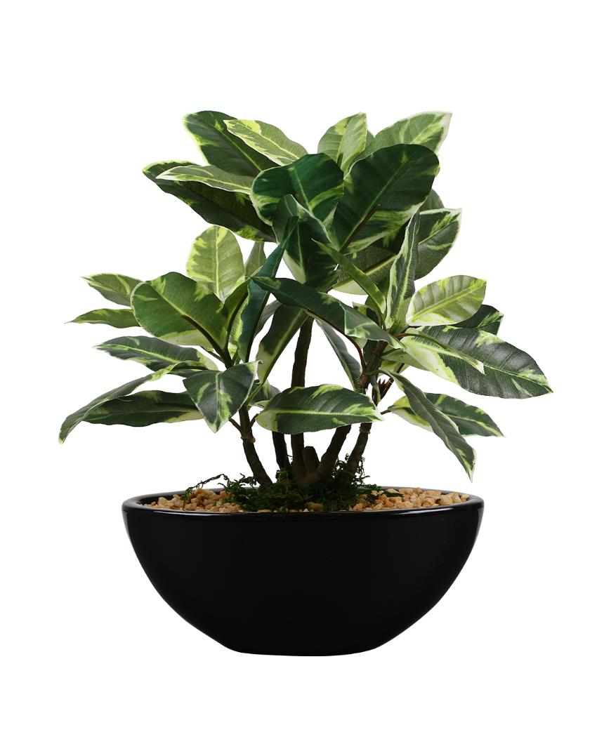 Quercus Artificial Bonsai Plant with Ceramic Pot | 11 inches