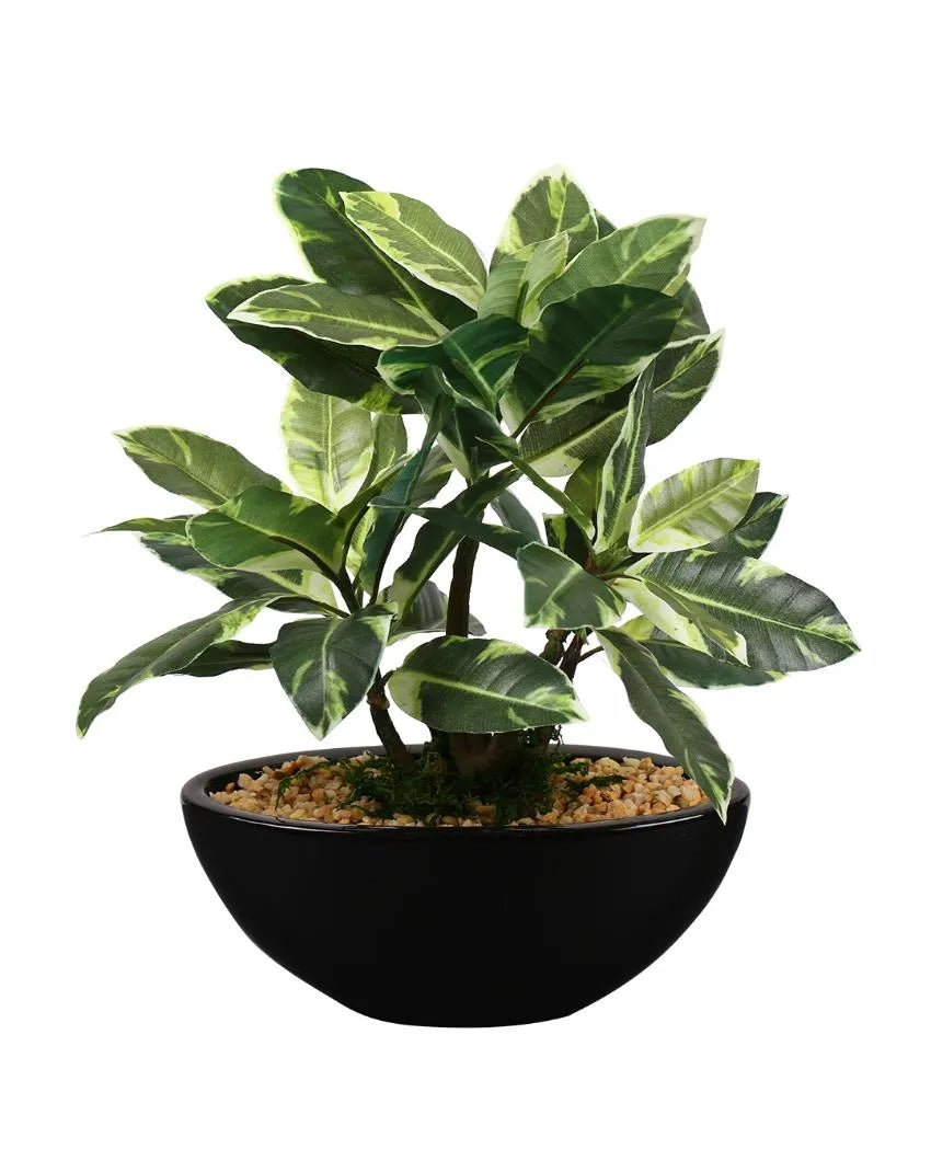 Quercus Artificial Bonsai Plant with Ceramic Pot | 11 inches