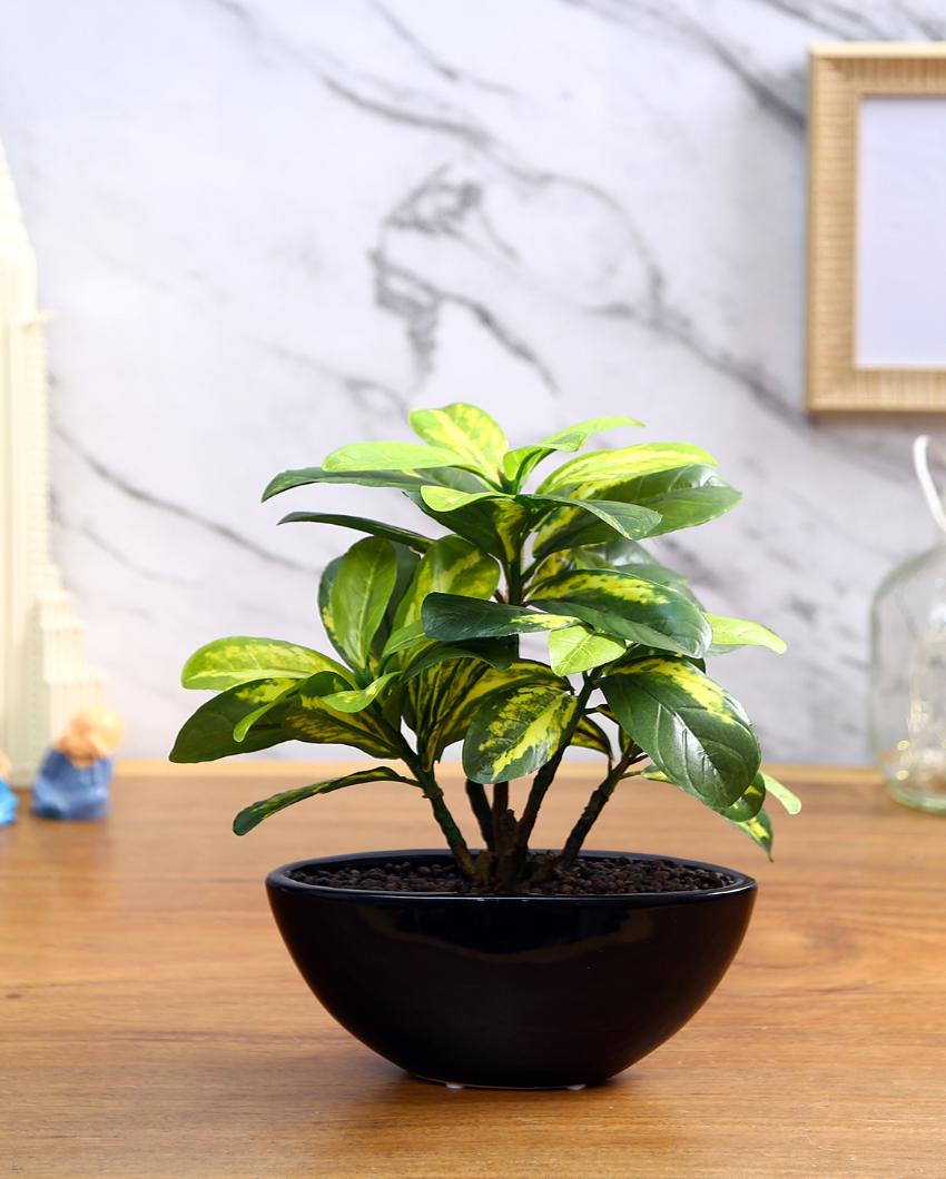 Schefflera Artificial Bonsai Plant with Ceramic Pot | 11 inches