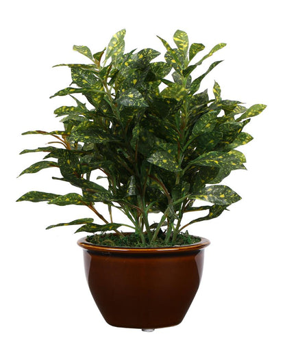 Croton Artificial Bonsai Plant with Ceramic Pot | 11 inches