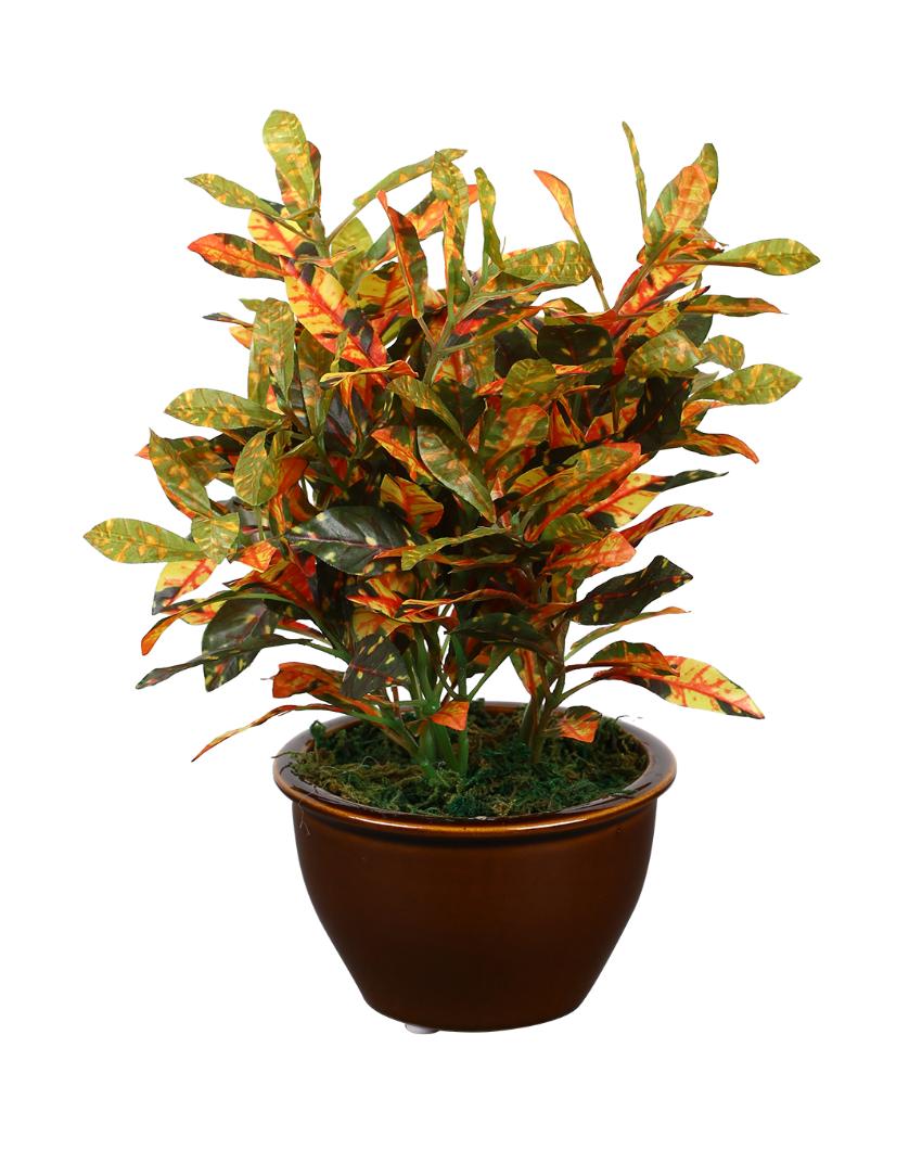 Croton Artificial Bonsai Plant with Ceramic Pot | 11 inches