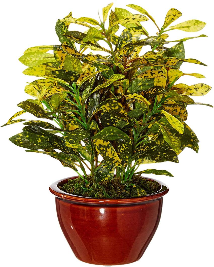 Croton Artificial Bonsai Plant with Ceramic Pot | 11 inches