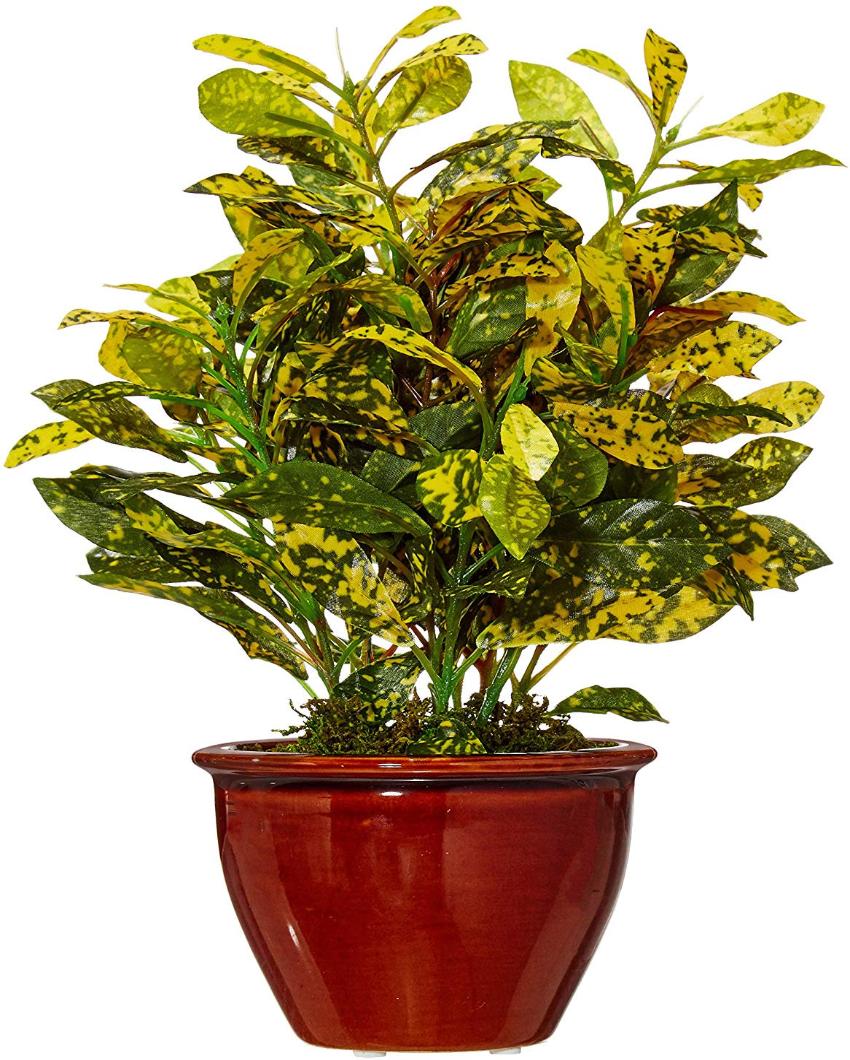 Croton Artificial Bonsai Plant with Ceramic Pot | 11 inches