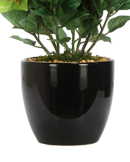 Mini Habiscus Artificial Bonsai Plant with Ceramic Pot | 12 inches