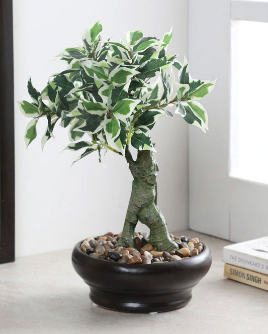 Ficus Artificial Bonsai Plant with Ceramic Vase | 13 inches