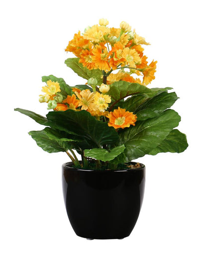 Primula Artificial Bonsai Plant with Ceramic Pot | 1 feet