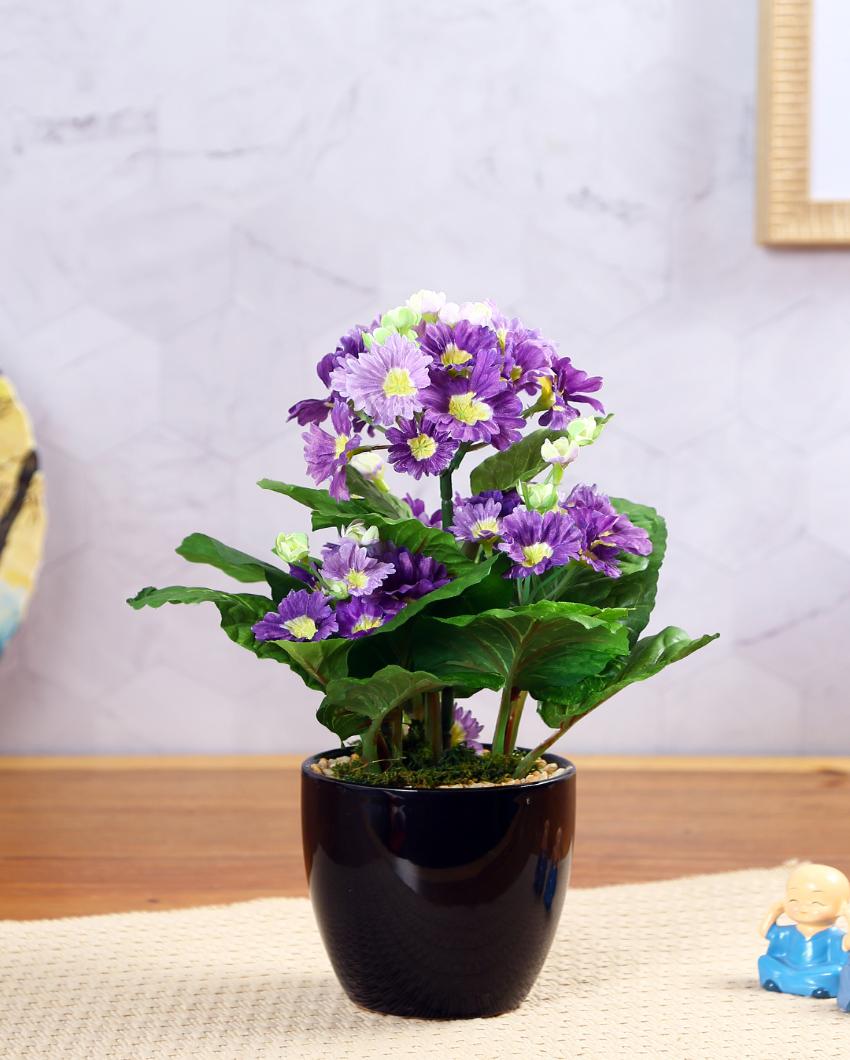 Primula Artificial Bonsai Plant with Ceramic Pot | 1 feet