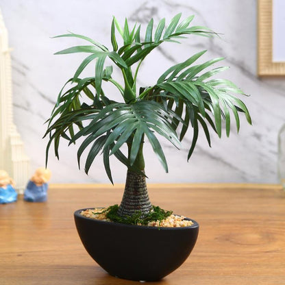 Roystonea Artificial Bonsai Plant with Ceramic Pot | 1 feet