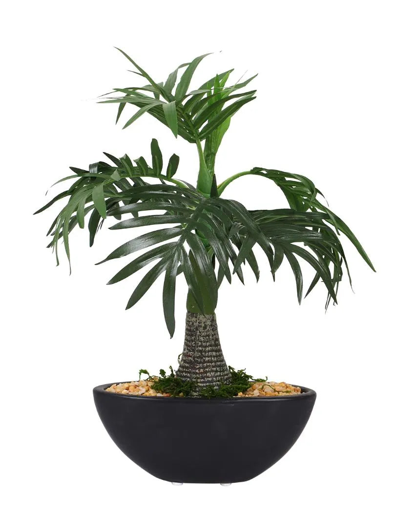 Roystonea Artificial Bonsai Plant with Ceramic Pot | 1 feet