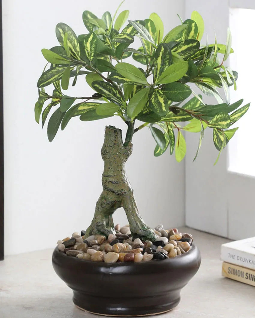 Schefflera Artificial Bonsai Plant with Ceramic Pot | 1 feet