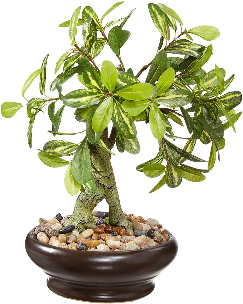 Schefflera Artificial Bonsai Plant with Ceramic Pot | 13 inches