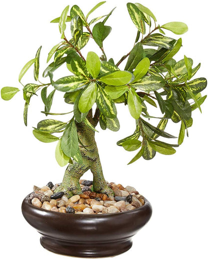 Schefflera Artificial Bonsai Plant with Ceramic Pot | 13 inches