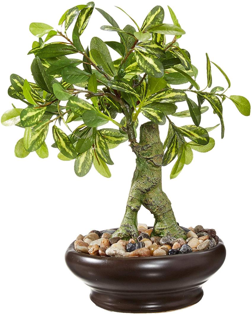 Schefflera Artificial Bonsai Plant with Ceramic Pot | 13 inches