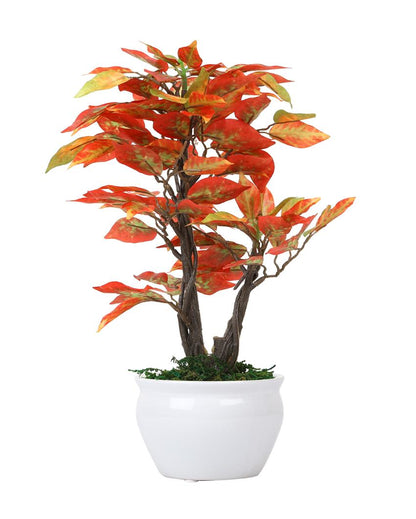 Ficus Artificial Bonsai Plant with Ceramic Vase | 13 inches