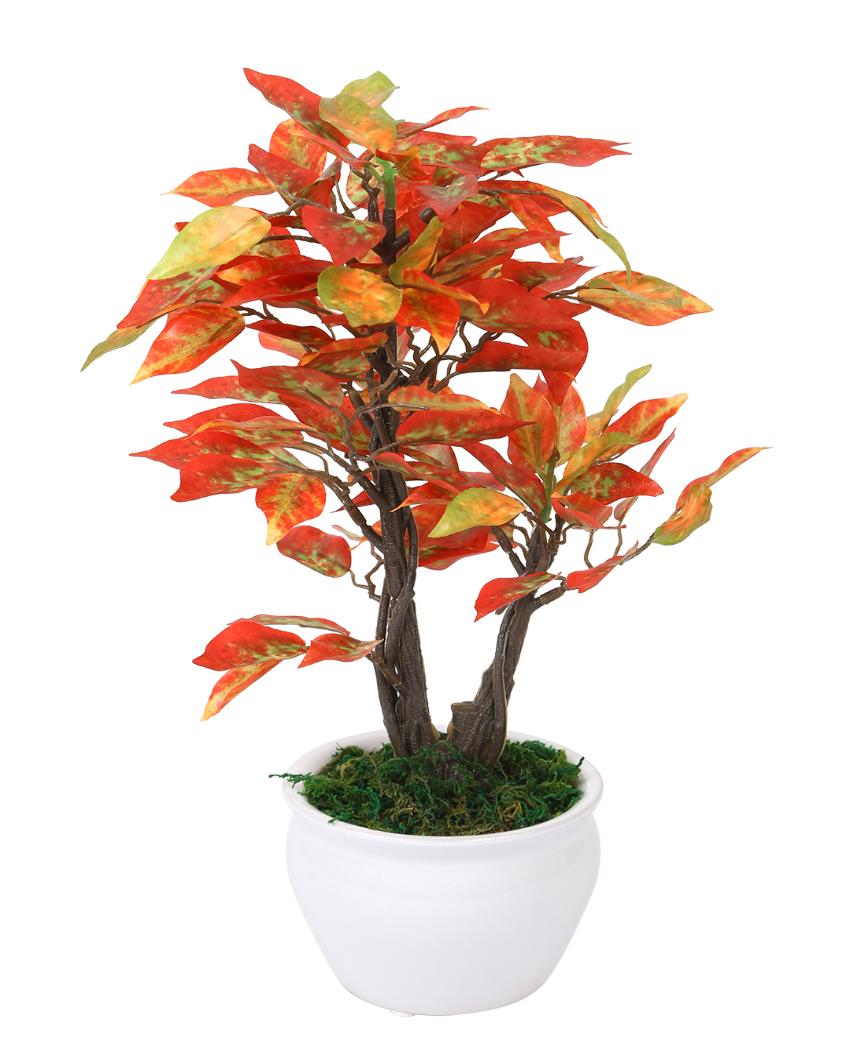 Ficus Artificial Bonsai Plant with Ceramic Vase | 1 feet