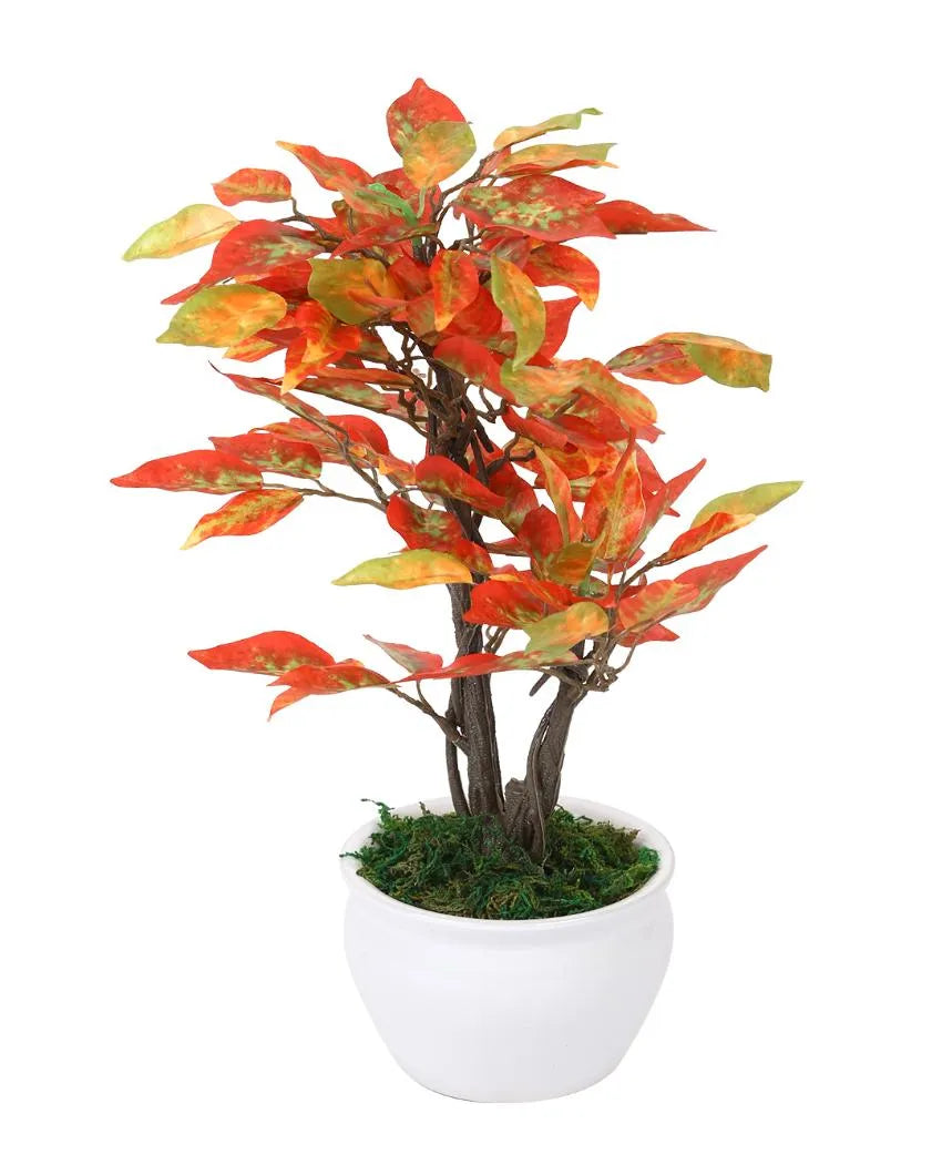 Ficus Artificial Bonsai Plant with Ceramic Vase | 13 inches