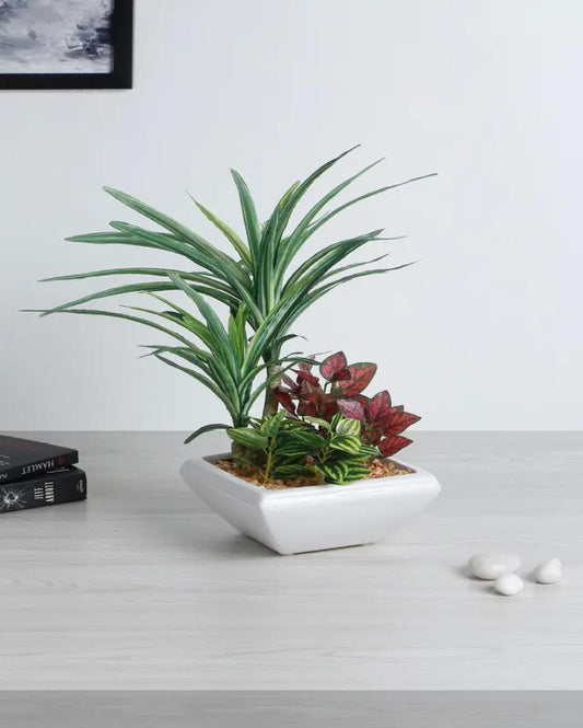 Araceae Assorted Leaf Artificial Bonsai Plant with Ceramic Pot | 13 inches