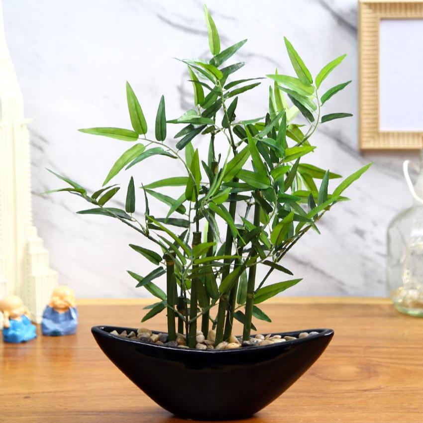 Bamboo Artificial Bonsai Plant with Ceramic Pot | 14 inches , 15 inches