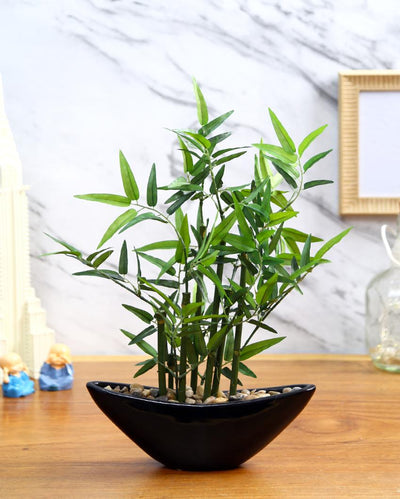 Bamboo Artificial Bonsai Plant With Ceramic Pot | 1 feet , 1.25 feet