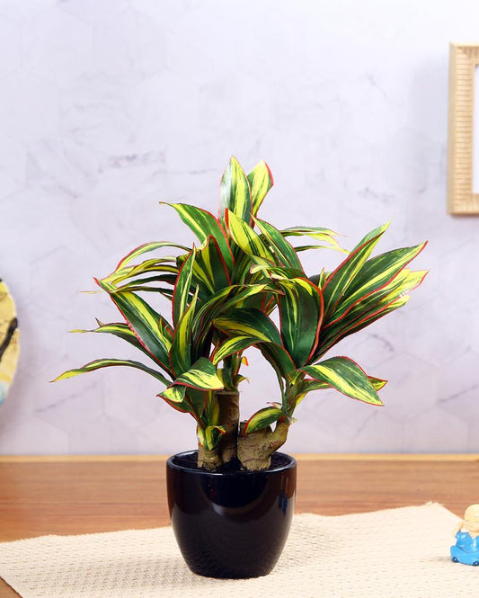 Calathia Artificial Bonsai Plant with Ceramic Pot | 14 inches