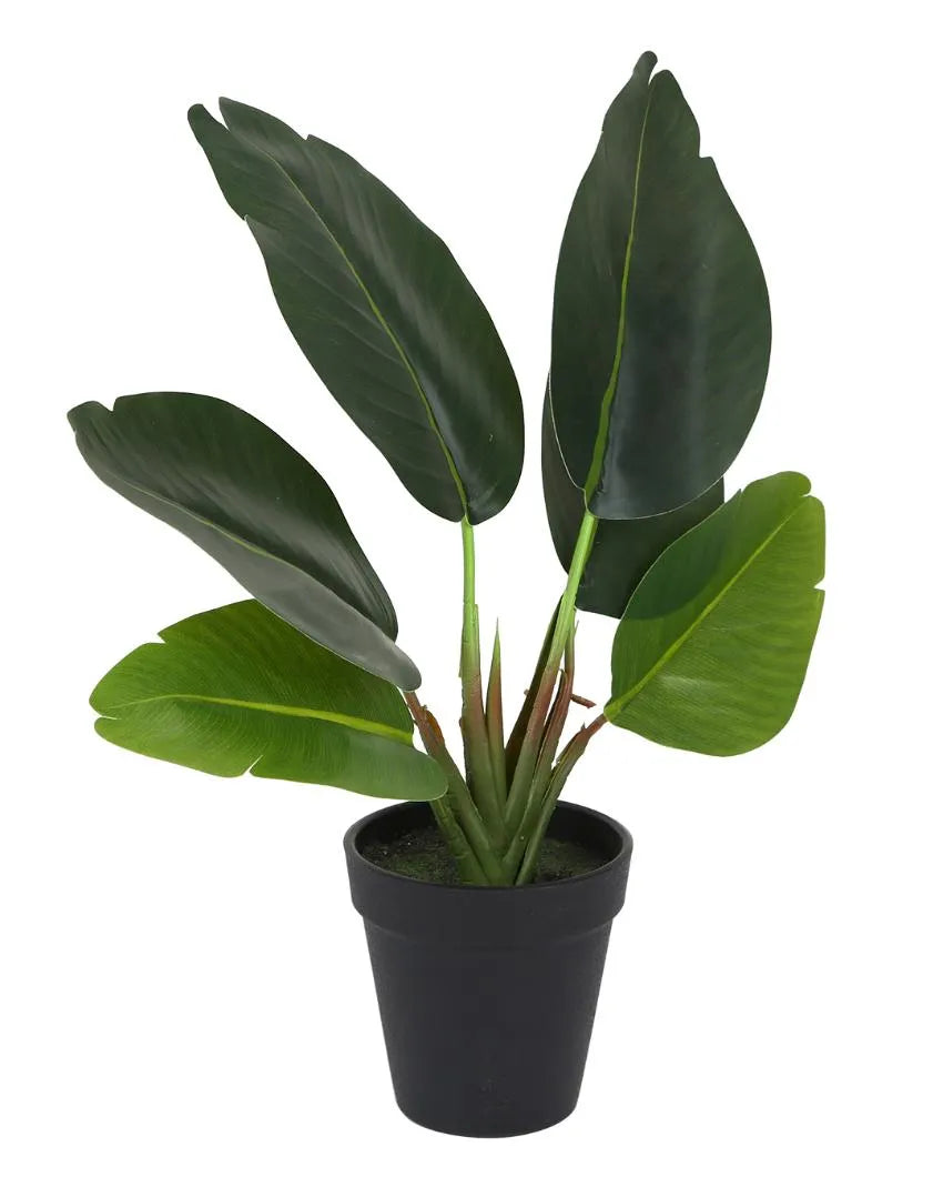 Real Touch Banana Artificial Bonsai Plant with Plastic Pot | 1.25 feet