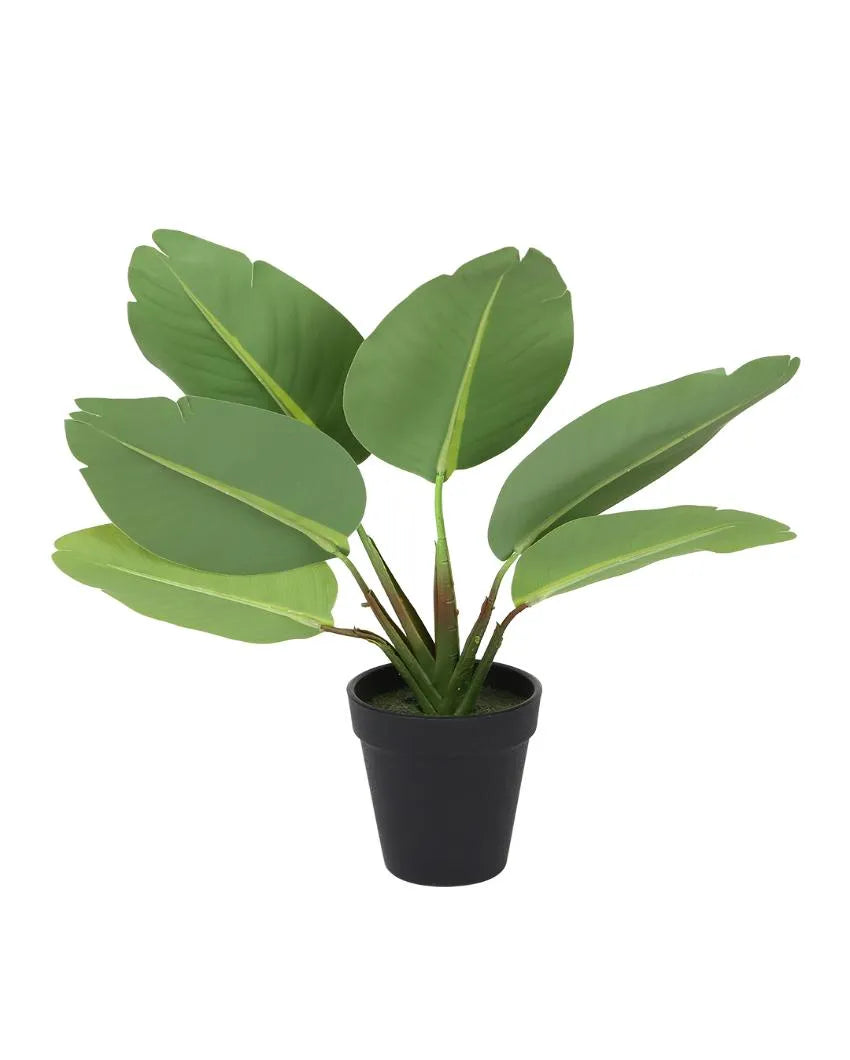 Real Touch Banana Artificial Bonsai Plant with Plastic Pot | 15 inches