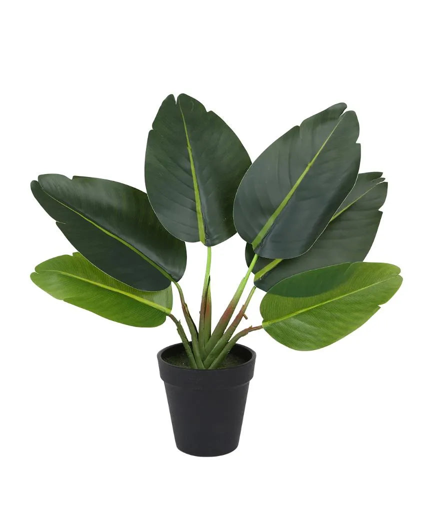 Real Touch Banana Artificial Bonsai Plant with Plastic Pot | 15 inches