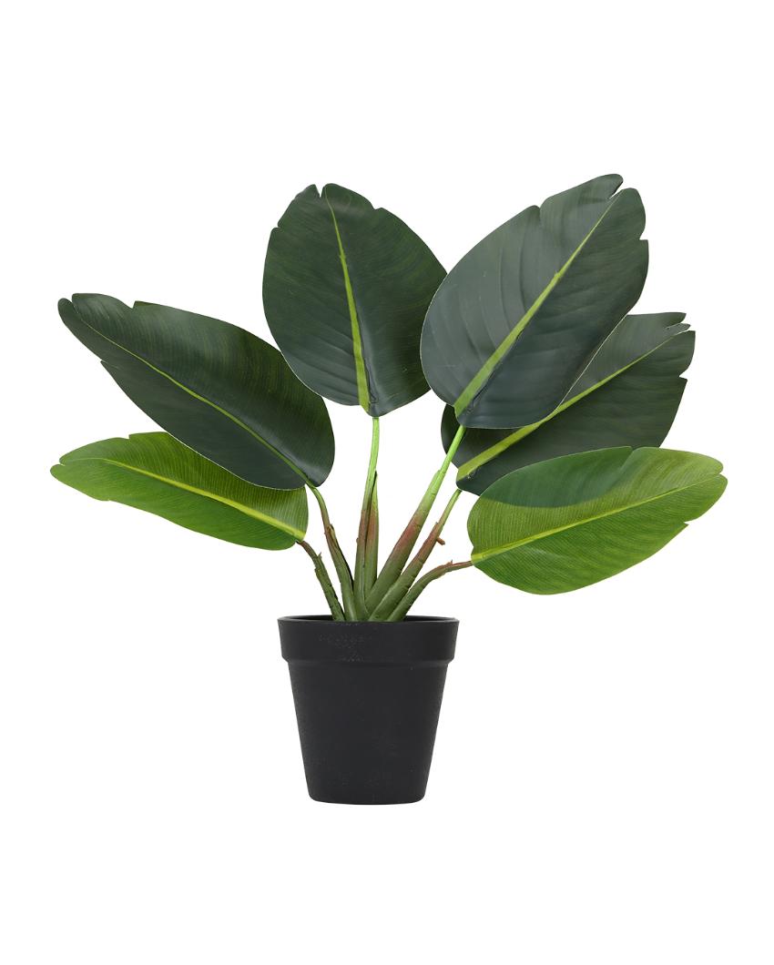 Real Touch Banana Artificial Bonsai Plant with Plastic Pot | 15 inches