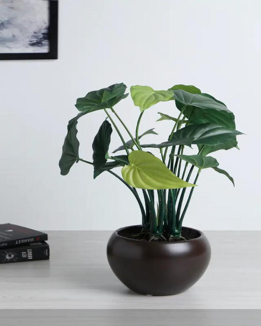 Alocasia Artificial Bonsai Plant with Ceramic Pot | 15 inches