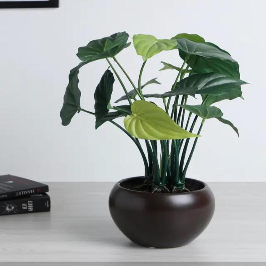 Alocasia Artificial Bonsai Plant with Ceramic Pot | 1.25 feet