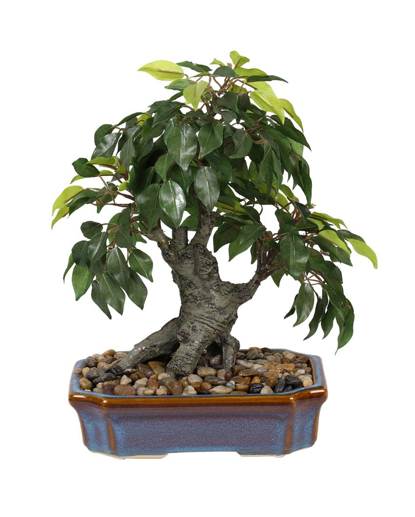 Ficus Artificial Bonsai Plant with Ceramic Vase | 1.25 feet